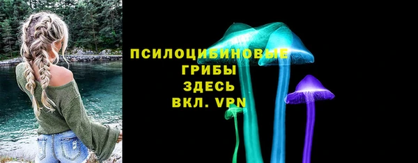 бутират Алзамай