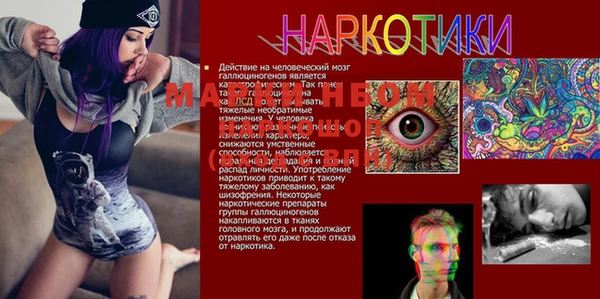 МДПВ Абаза
